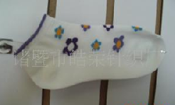 ȫ������