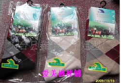 �Ứ��������