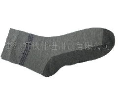 ȫ������