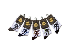 �˶���������ѧ������