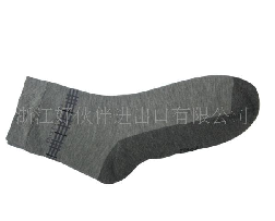 ȫ������