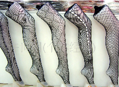 �����Ứ������