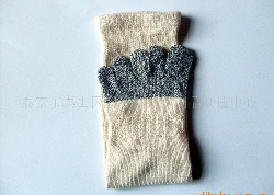 ������ָ��