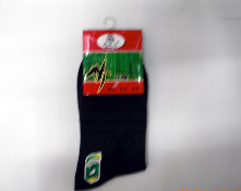 �ɿ���ʿ��