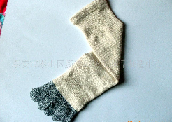 ������ָ��