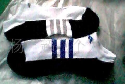 ë�����˶�����