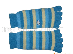 �������ָ��