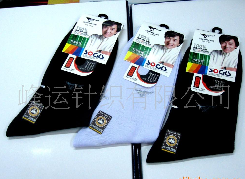 ��ƥ����ʽ������