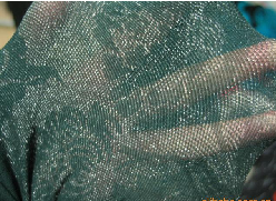 2010����ŷ���Ứ������