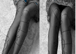 ��ɫ�Ứ������