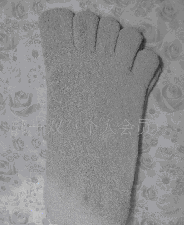 ��������������ָ��