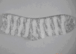 ����ޱ�ů����