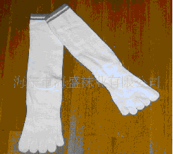 ȫ����ֺ��