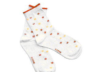 �ɰ�������Ů��