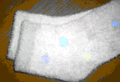 ��Ͳ����ɴ��