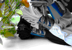 ��ʽֱ��˿��