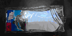 �п�ȫ���˶���