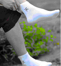 ��ʿ�����˶���