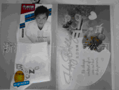 ���������񾭵�ϵ������