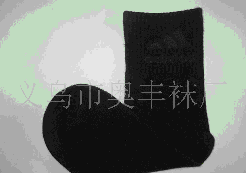 ȫ���˶���