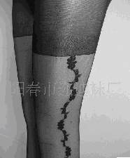 �Ứ������