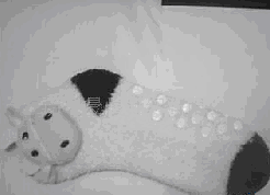 ����޿�ͨ����