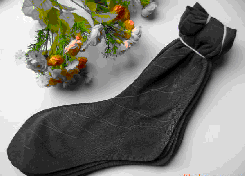 �������ʽ������