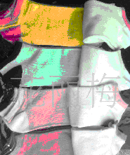 ����Ů����