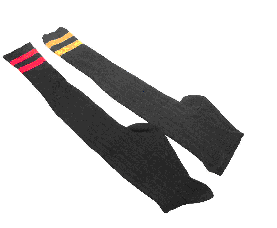 ��ʿ�˶���