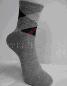 �ձ�ԭ������