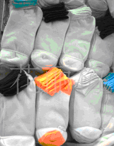 Ůʿȫ���˶�����