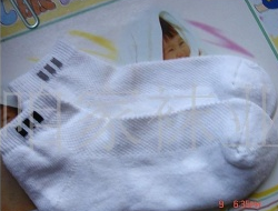 ��ëȦȫ���˶���