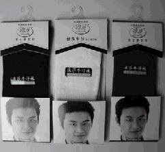 ��ɯ��ʿ������