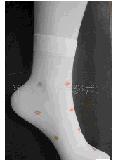 ��ɫ��ˮ������