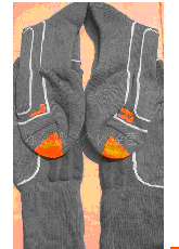 ȫ�ް�������ͳ��