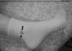 �ľ�������ʿ����������