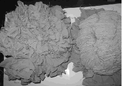 �����������˿��