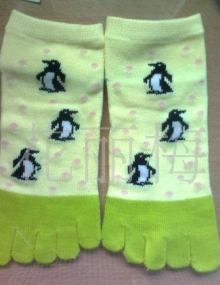 ���޲�ɫ��ͨ��ָ�࣬ȫ�����ӣ���ó����