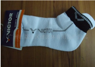 �˶�����