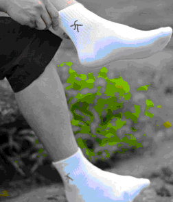 ��ʿ�����˶�����