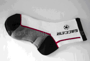 ����ȫ���˶���