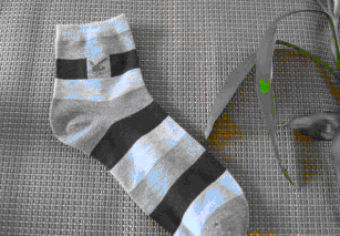 ��ʿ�������