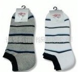 ȫ���д���