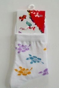 Ůʿ������