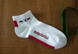 ��ʿ��������