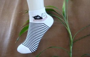 Ůʿ���޶���