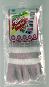 ������ָ��