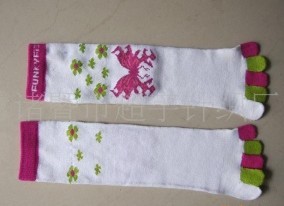 ������ֺ��