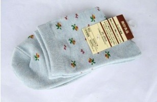 ȫ��Ůʿ�Ứ��