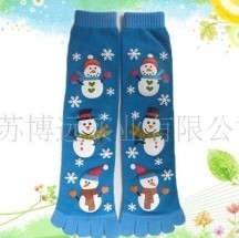 �Ứʥ����